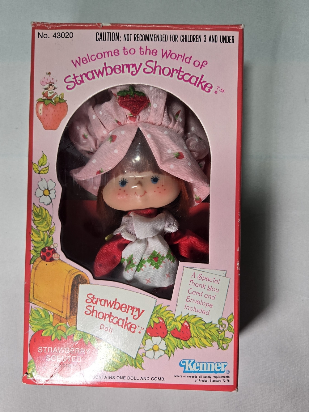 VINTAGE 1980 Kenner Strawberry Shortcake Doll #43020 W/ Accessories